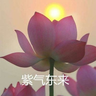 超杀默示录手游腾讯版下载